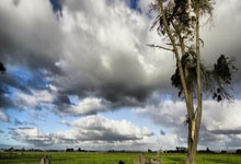 广州富力主场战平，难以获得突破