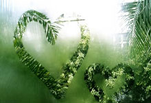 广州富力主场战平，难以获得突破