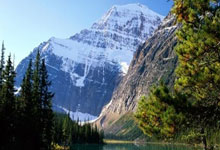 球队士气高涨，预计再次夺冠