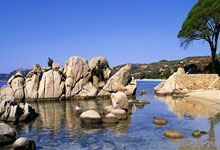 蒙彼利埃客场战平圣埃蒂安，积分领先优势缩小